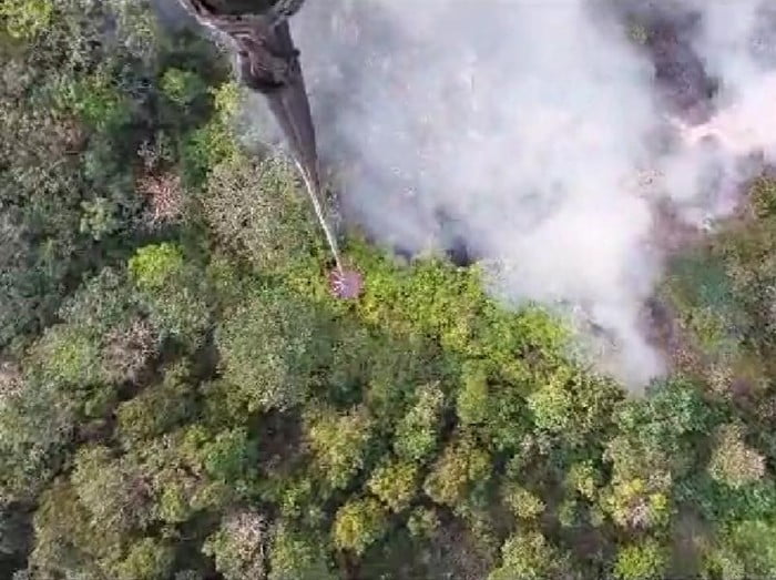 Kebakaran Lahan 1,5 Hektare di Tanjabbar Berhasil Dipadamkan