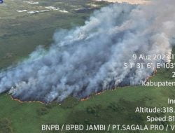 229,54 Hektare Lahan Terbakar di Jambi Selama 2023, Terbanyak Batanghari