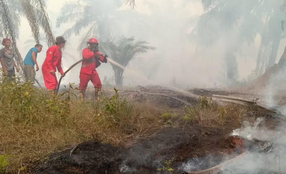 Lahan yang Terbakar di Muaro Jambi Berdasarkan Data BPBD Hingga Awal September