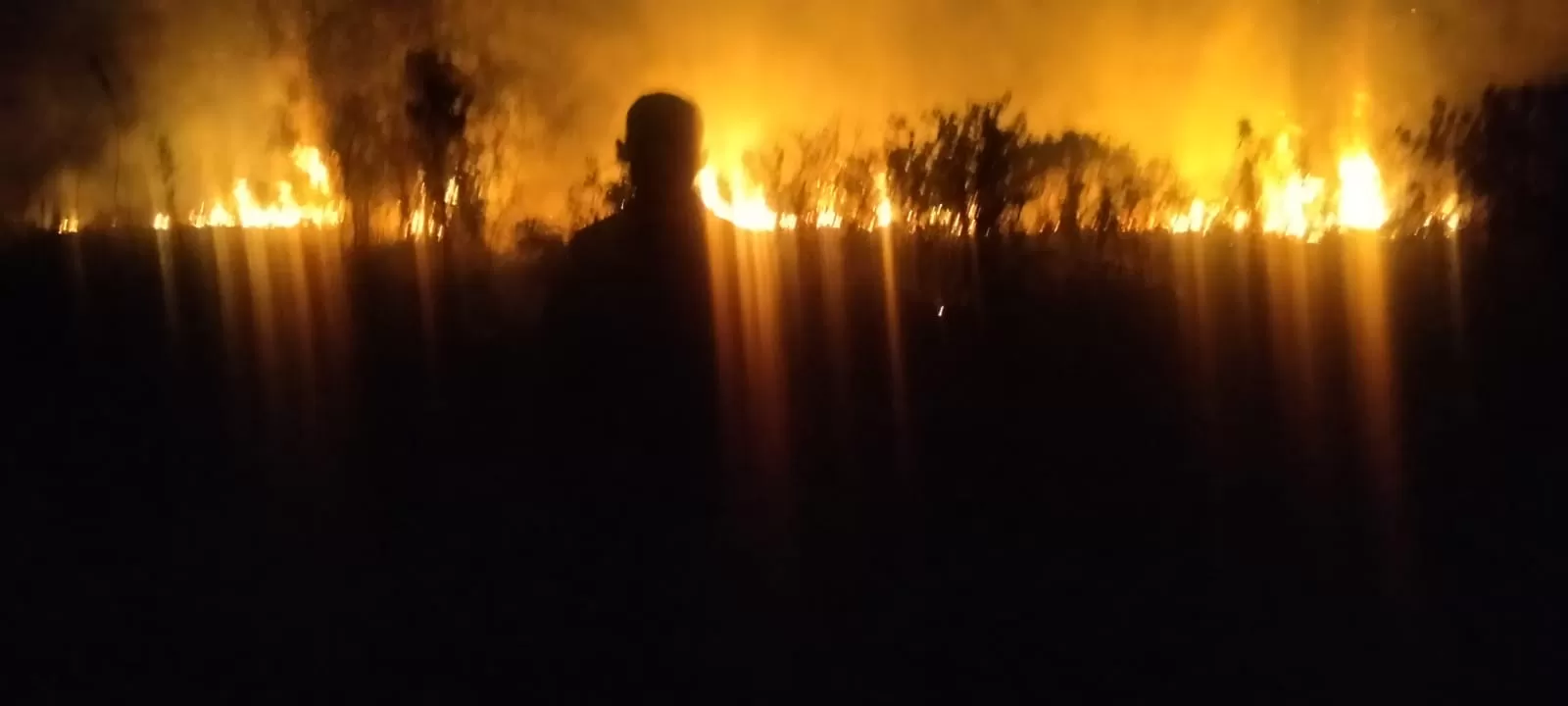 Polisi Selidiki Penyebab Lahan Kosong di Kota Jambi yang Terbakar