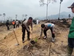 PT ABT Inisiasi Penanaman 3 Ribu Pohon Bersama Pemerintah , TNI dan Polri Demi Pulihkan Kebakaran Hutan