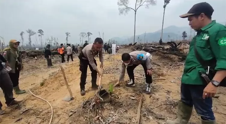 PT ABT Inisiasi Penanaman 3 Ribu Pohon Bersama Pemerintah , TNI dan Polri Demi Pulihkan Kebakaran Hutan