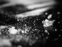 Lima Pelaku Penyalahgunaan Narkoba di Amankan Polda Jambi
