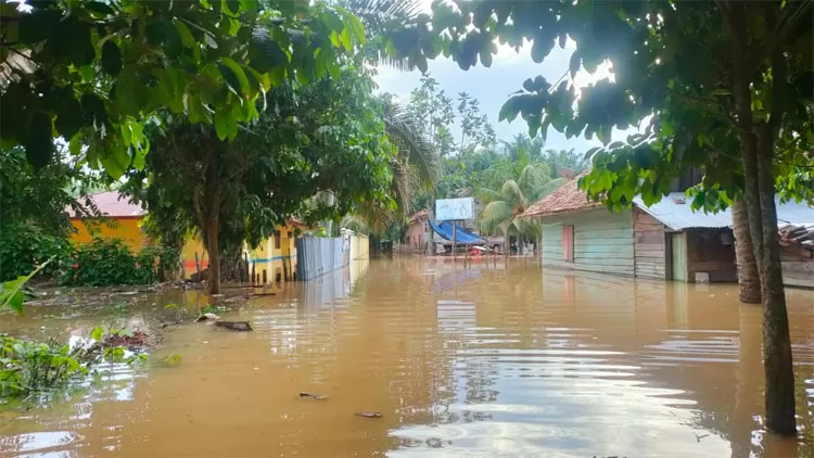 Akses Jalan Terputus dan Aktivitas Belasan Desa Lumpuh Total Akibat Banjir Di Tebo