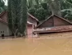 Ribuan Rumah di Tebo Terendam Banjir Setinggi Atap Rumah