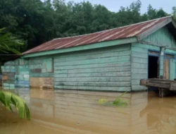 Rumah Warga Yang Terendam Banjir di Muarojambi Kian Bertambah