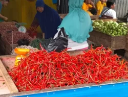 Harga Cabai Merah Melambung Tinggi Pada Awal 2024 di Tanjung Jabung Timur