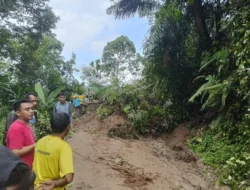 Longsor di Perbatasan Desa Pulau Raman, Jalan Siau Jangkat Sudah Bisa Dilewati Kembali