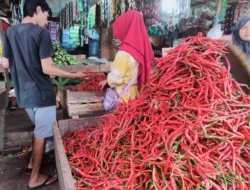Jelang Ramadhan, Harga Cabai Merah Keriting di Pasar Sarolangun Melambung Tinggi