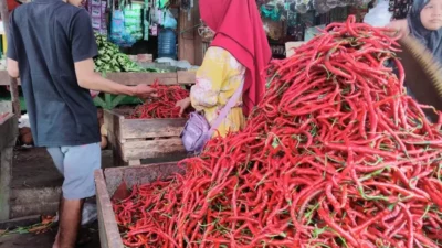 Jelang Ramadhan, Harga Cabai Merah Keriting di Pasar Sarolangun Melambung Tinggi