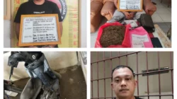Bandar Narkotika Jenis Ganja di Tangkap Oleh Tim Gabungan Bea Cukai, BNN dan Polres Tanjabbar